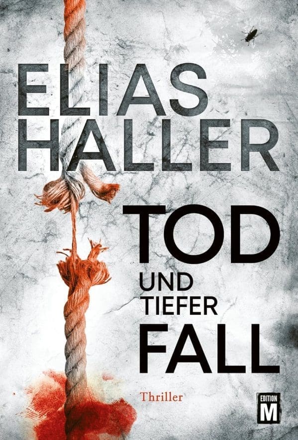 Tod und tiefer Fall (Ein Erik-Donner-Thriller 1)