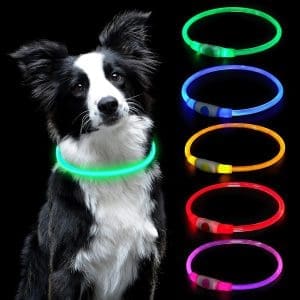 AUAUY LED-Licht-Hundehalsband, über USB wiederaufladbar, längenverstellbares Haustier-Sicherheitshalsband, zuschneidbar, wasserdichtes Lichthalsband für Hunde und Katzen, 3 Modi (grün)