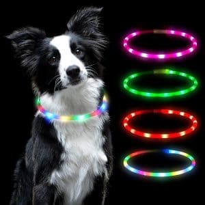 Auauy LED -Lichtkragenhund, USB wiederaufladbare Länge Verstellbares PET -Sicherheit Silikonkragen zum Größe wasserdichtem Lichtkragen für Hunde und Katzen, 4 Modi (farbenfroh)