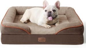 BEDSURE orthopädisches Hundebett Ergonomisches Hundesofa - 71x58 cm Hundecouch mit eierförmiger Kistenschaum für kleine Hunde, waschbar rutschfeste Hundebetten, braun