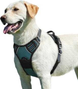 Eagloo Dog Harness for Large Dogs, Anti-Pull Dog Harness with Reflective Strips and Control, Adjustable Dog Harness, Chest Harness for Labrador, Dark Green, L