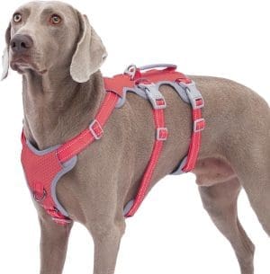 Huntboo Escape-Proof Dog Harness, Reflective Strap, with Padded Handle, Breathable, Adjustable Vest for Large Dogs for Walking and Running, Red, L