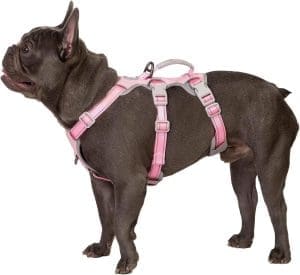 Huntboo Escape Proof Dog Harness, for Dog Escape Artists, Fully Reflective, with Padded Handle, Adjustable Vest for Medium Dogs, for Walks, Pink, M