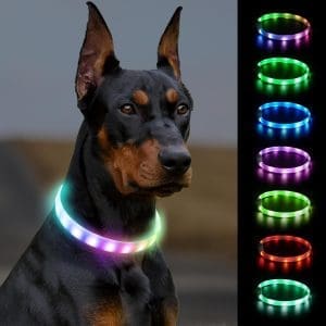 Joytale Leuchtendes Hundehalsband, leuchtendes, wiederaufladbares, längenverstellbares LED-Hundehalsband mit 9 Lichtmodi, regensicheres Hundelichthalsband für kleine, mittelgroße und große Hunde, 70 cm