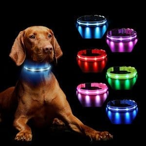 Leuchtendes wiederaufladbares Hundehalsband, 7 RGB-Farbwechsel mit 8 Lichtmodi, verstellbares LED-Hundehalsband, wasserdicht, für kleine, mittelgroße und große Hunde, leuchtendes Halsband, Schwarz, S