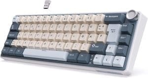 RK ROYAL KLUDGE R65 Mechanische Tastatur 60 Prozent mit Knopf, Gasket Gaming Tastatur Kabellos Bluetooth/2.4G/USB-C RGB PBT Tastenkappen QWERTZ QMK/VIA, Hot Swap Linearer Creamy Switches