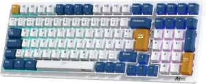 RK ROYAL KLUDGE RK98 Mechanische Tastatur Kabellose Gaming Tastatur 2.4G/Bluetooth 5.1/USB-C RGB Hinterleuchtet Deutsches Layout QWERTZ 100 Tasten Hot Swappable Braune Schalter, Weiß