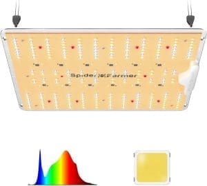 Spider Farmer LED Grow Lampe SF1000D LED Vollspektrum Pflanzenlampe mit Samsung LM301B Dioden 100W Abdeckung 60x60cm Grow Light Wachstumslampe für Growzelt Zimmerpflanzen Gemüse Blume