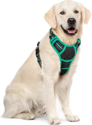 rabbitgoo Dog Harness Medium Dogs Anti-Pull Harness Dog with Control No Pull Adjustable Dog Harness Large Dogs Breathable Reflective Stripes Chest Harness Safe Guide Black + Green XL