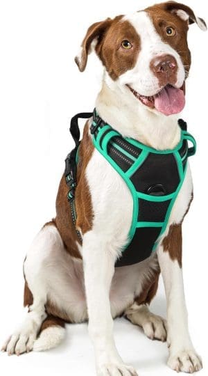 rabbitgoo Dog Harness for Medium Dogs, Anti-Pull Harness with Control, No Pull Adjustable Dog Harness, Large Dogs, Breathable Reflective Strips, Chest Harness, Safe Guide, Black + Green, L